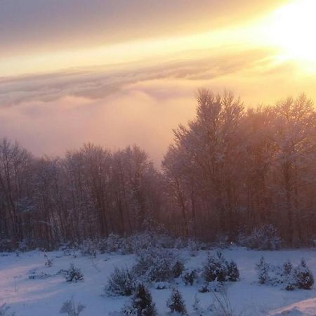 Goma Kop Apartmani Kopaonik Dış mekan fotoğraf