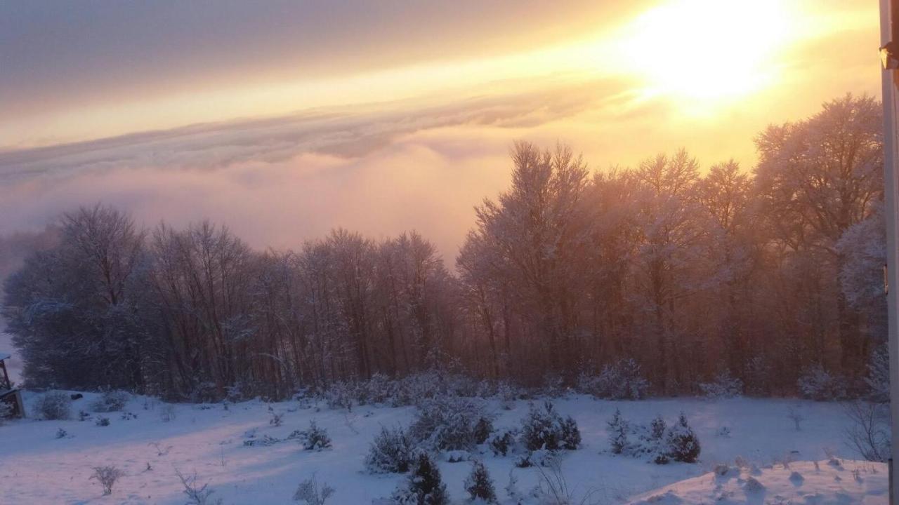 Goma Kop Apartmani Kopaonik Dış mekan fotoğraf