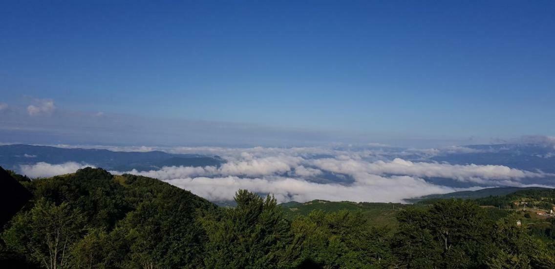 Goma Kop Apartmani Kopaonik Dış mekan fotoğraf